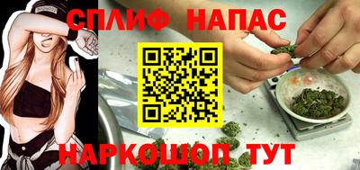 ГАЛЛЮЦИНОГЕННЫЕ ГРИБЫ Коммунар