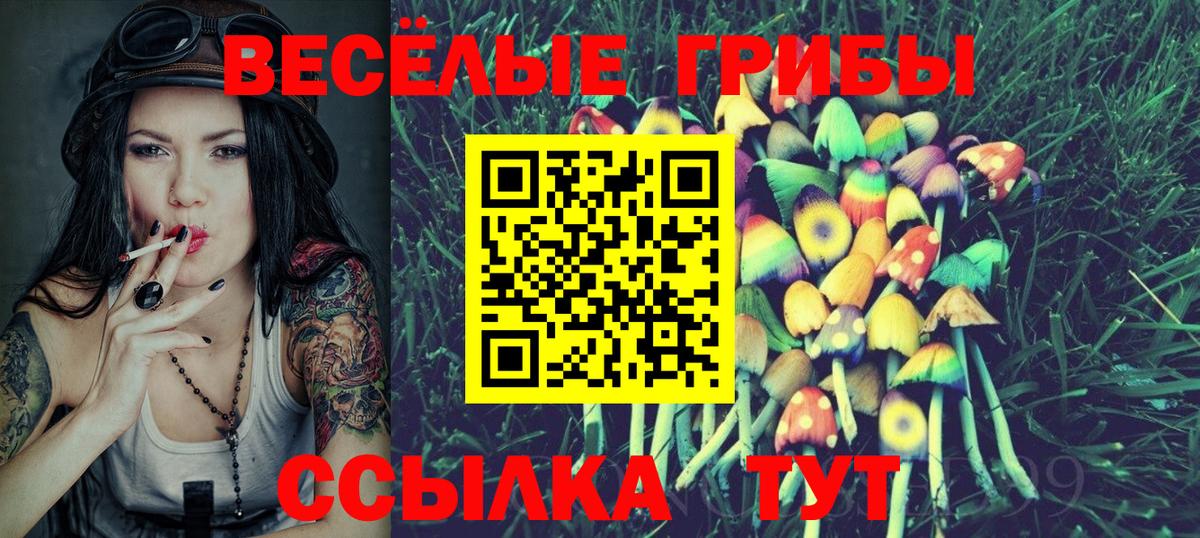 Карталы  Псилоцибиновые грибы Psilocybine cubensis  Вход с VPN 